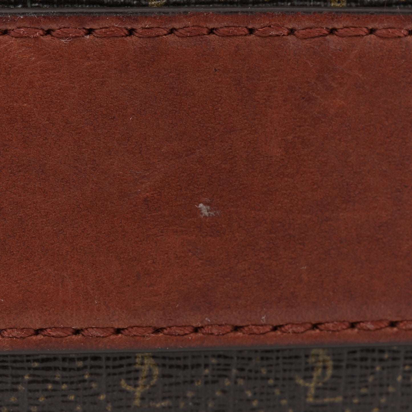 Canvas Smooth Calfskin Le Monogramme Camera Bag Chestnut