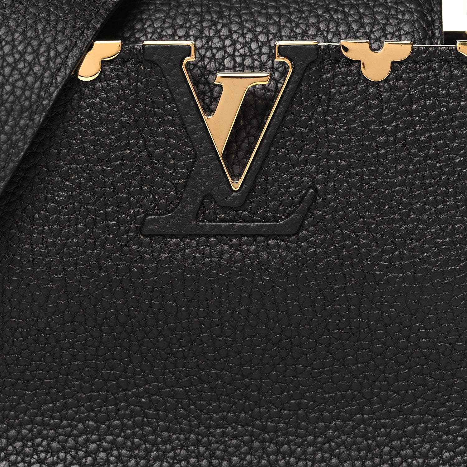 Louis Vuitton Taurillon Embellished Flower Crown Capucines Mini Black 8 of 10