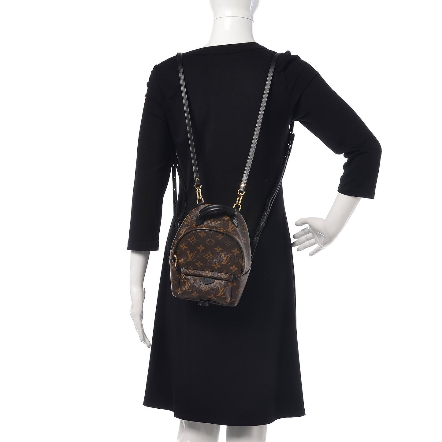 Monogram Palm Springs Backpack Mini