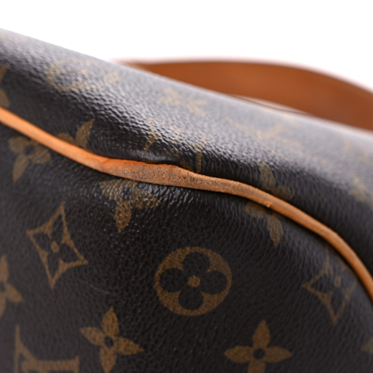 Monogram Delightful PM