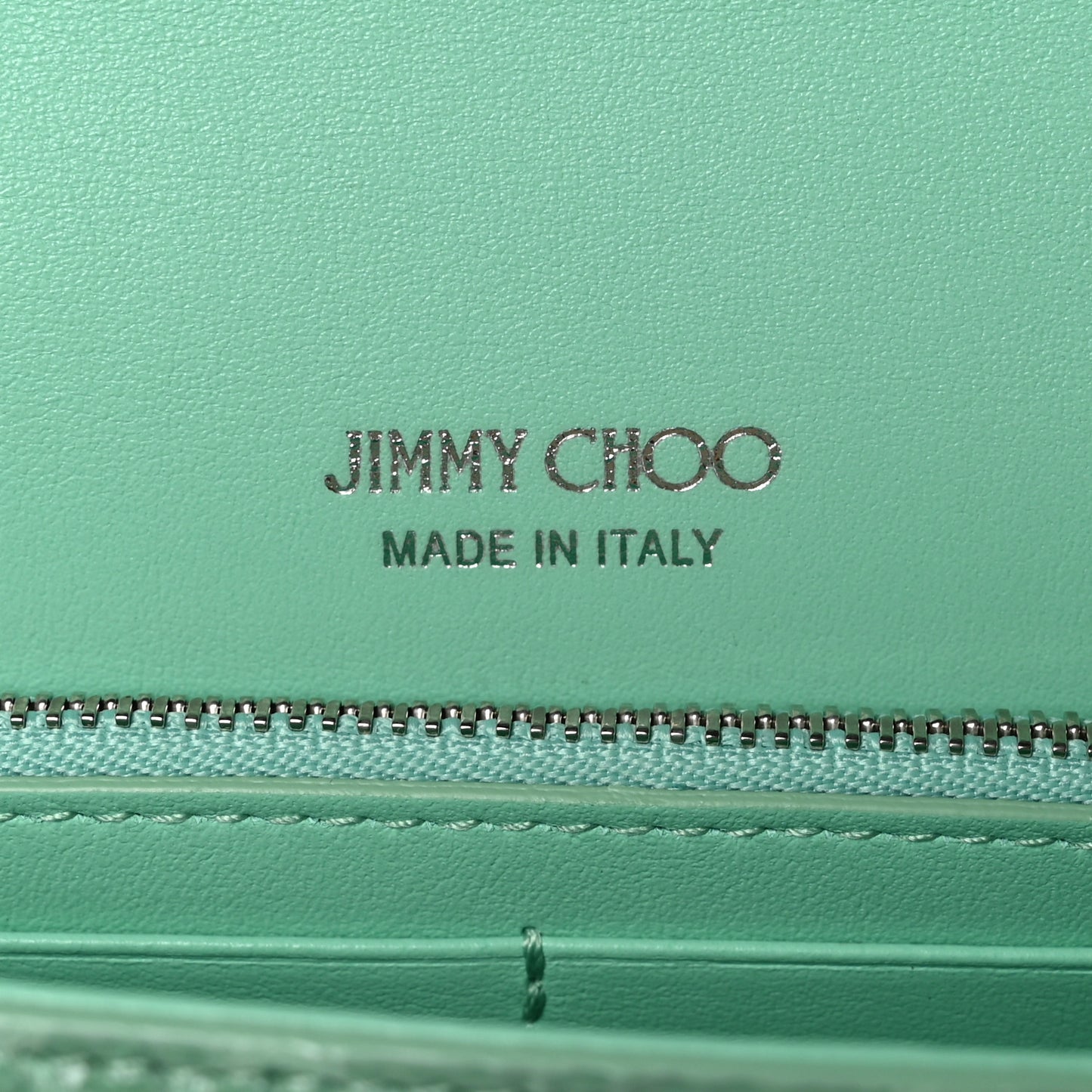 Snakeskin Embossed Chain Clutch Miami Mint