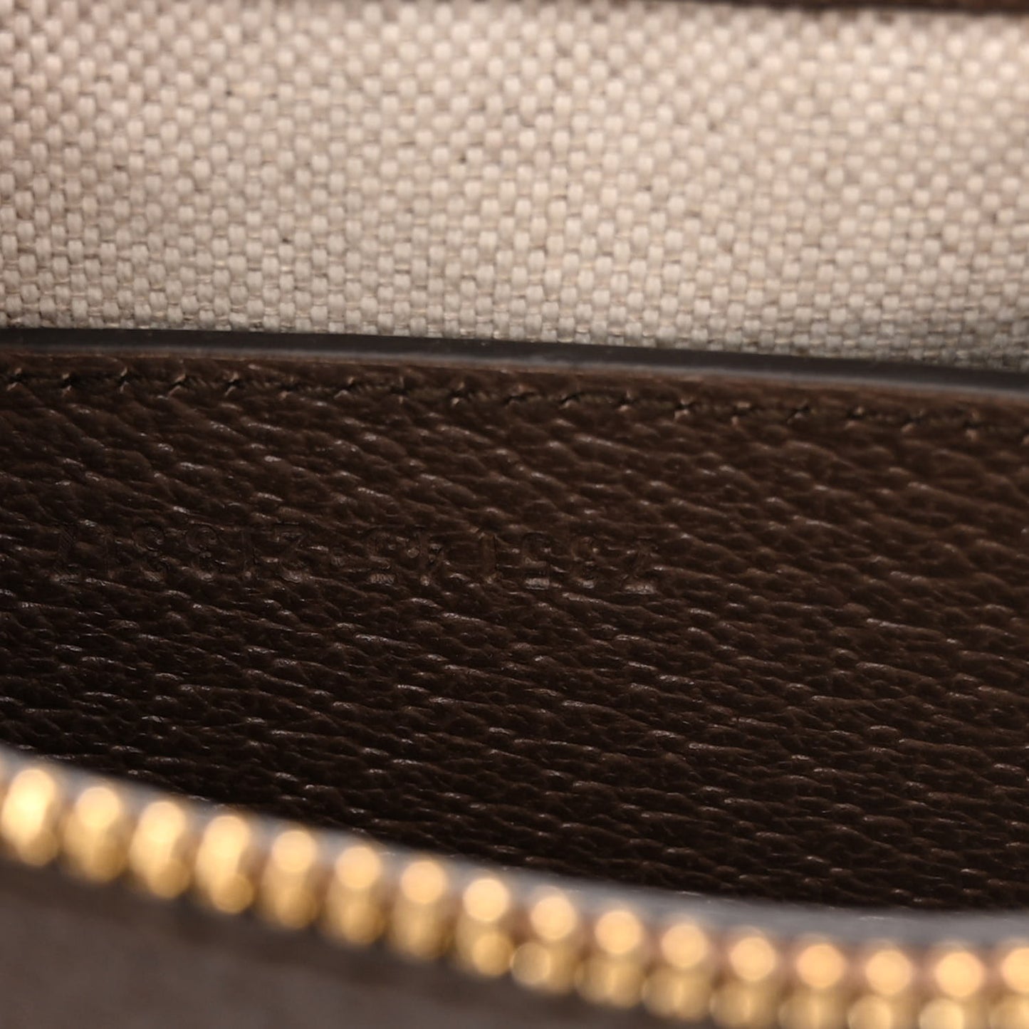 GG Supreme Monogram Textured Dollar Calfskin Small Ophidia Hobo Beige Ebony New Acero