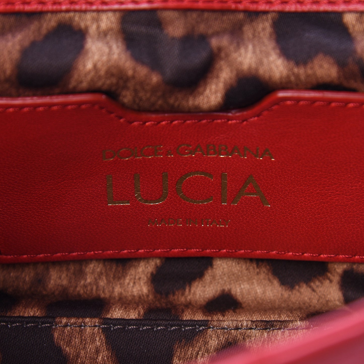 Lambskin Watersnake Embellished Lucia Shoulder Bag Red