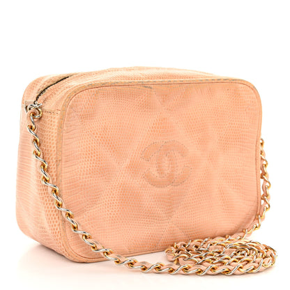 Chanel Lizard Quilted Tassel Camera Case Light Beige 3 of 11