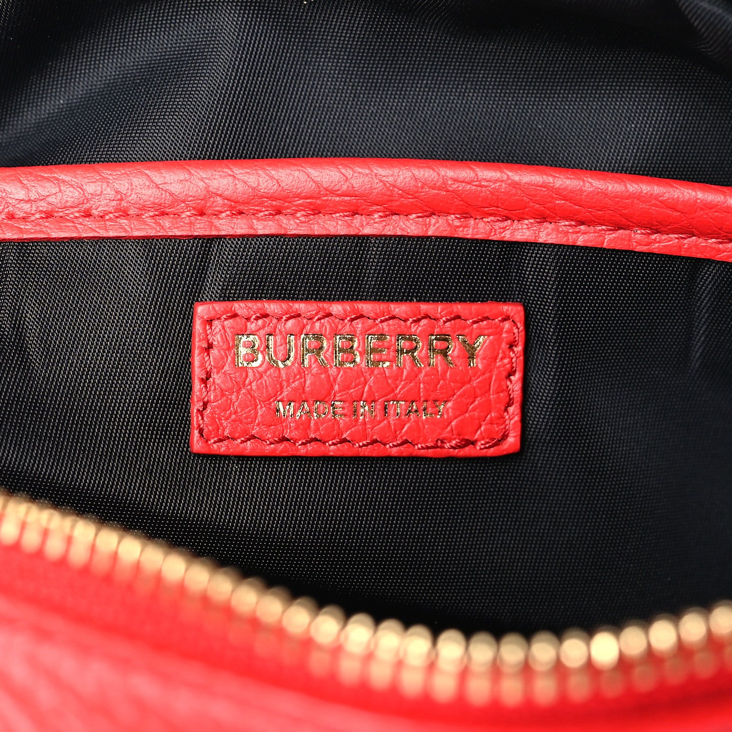 Burberry Calfskin Monogram Embossed Elongated Camera Bag Red 6 of 8