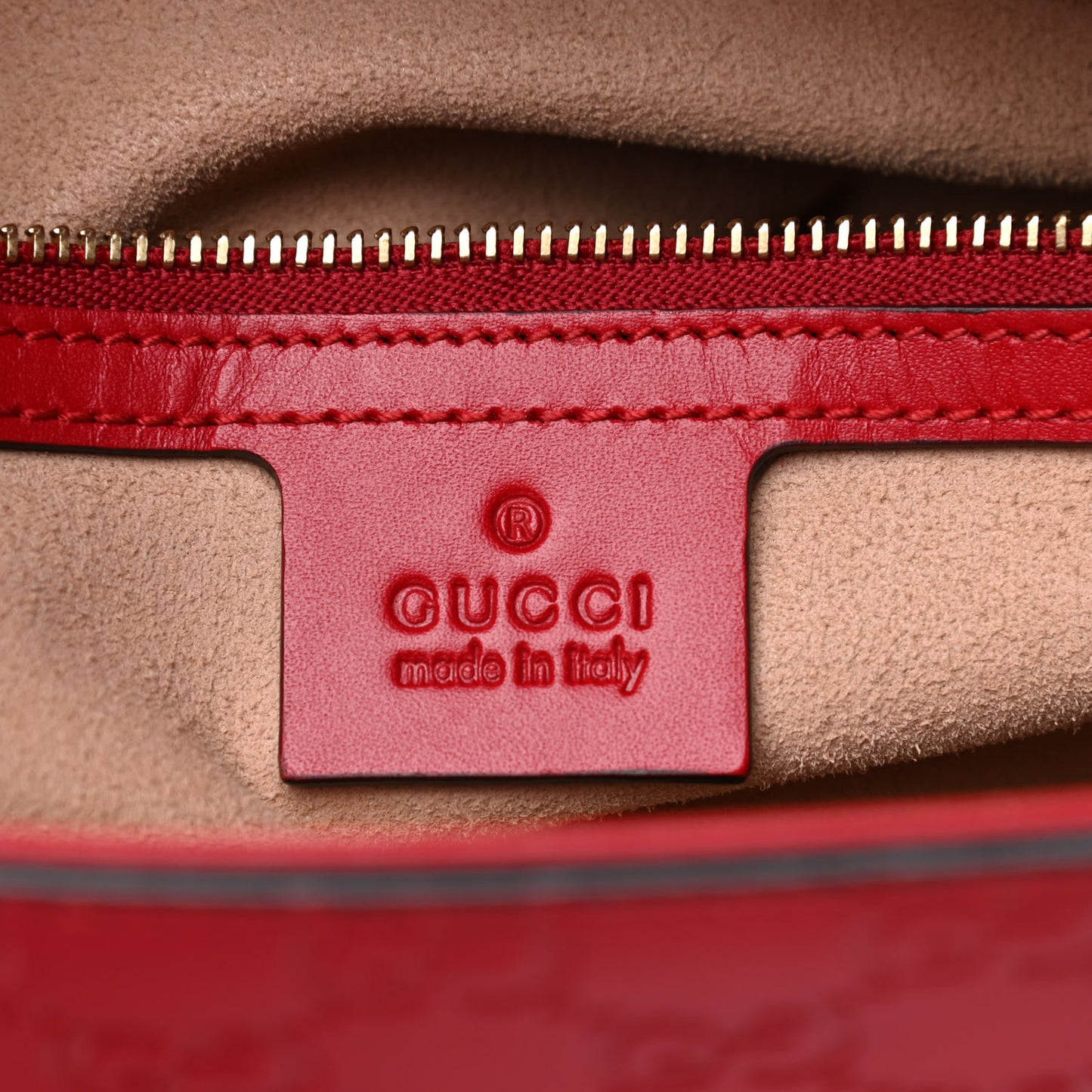 Guccissima Small Zippered Bucket Tote Hibiscus Red