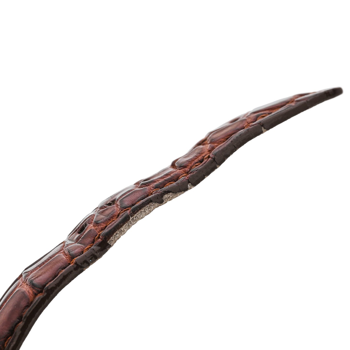 18K Yellow Gold Alligator Diamond Bezel 29mm Cintree Curvex Quartz Watch 7502QZD