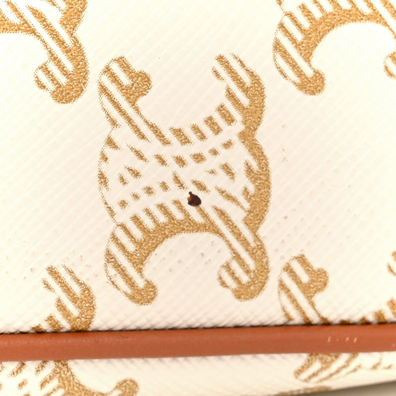 Celine Canvas Calfskin Ava Triomphe Shoulder Bag White 15 of 16
