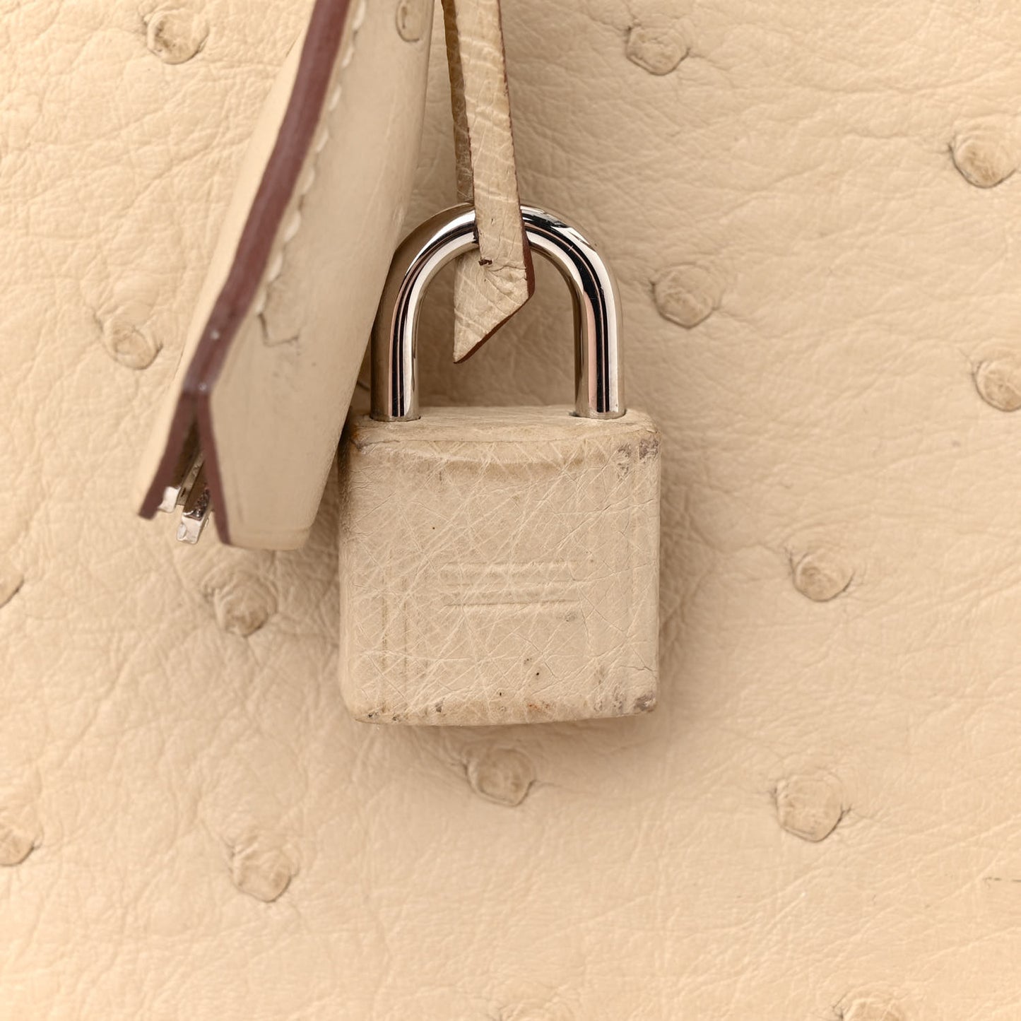 Ostrich Birkin 30 Parchemin