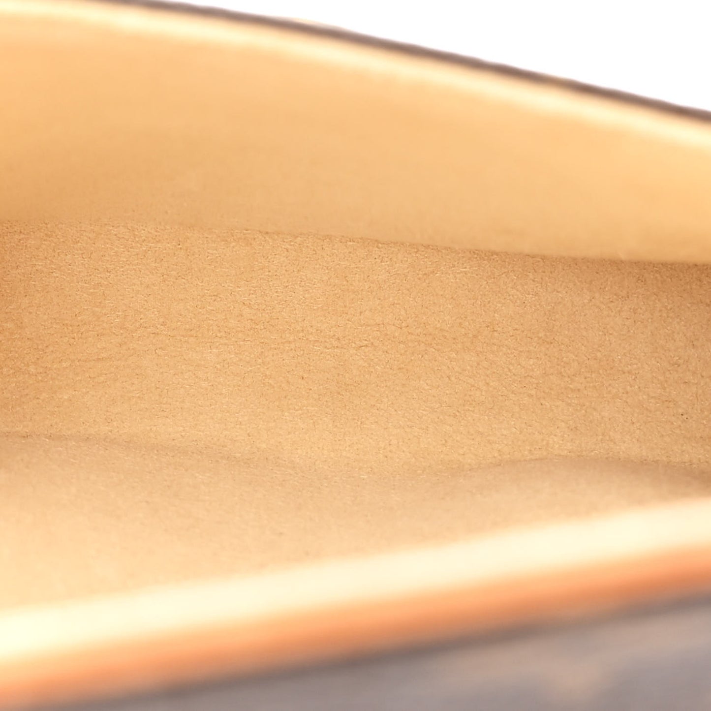 Monogram Pochette Florentine XS