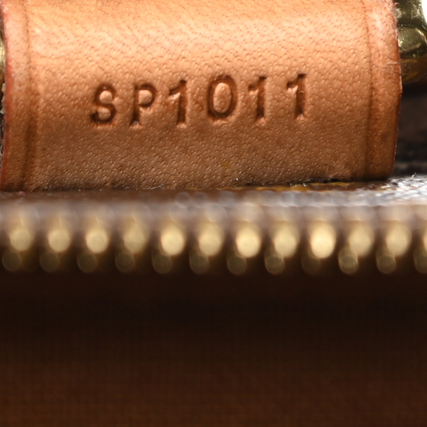 Monogram Pegase 55