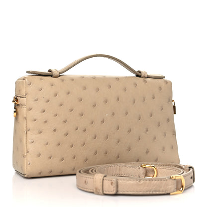 Loro Piana Ostrich L19 Extra Pocket Pouch Beige 3 of 10