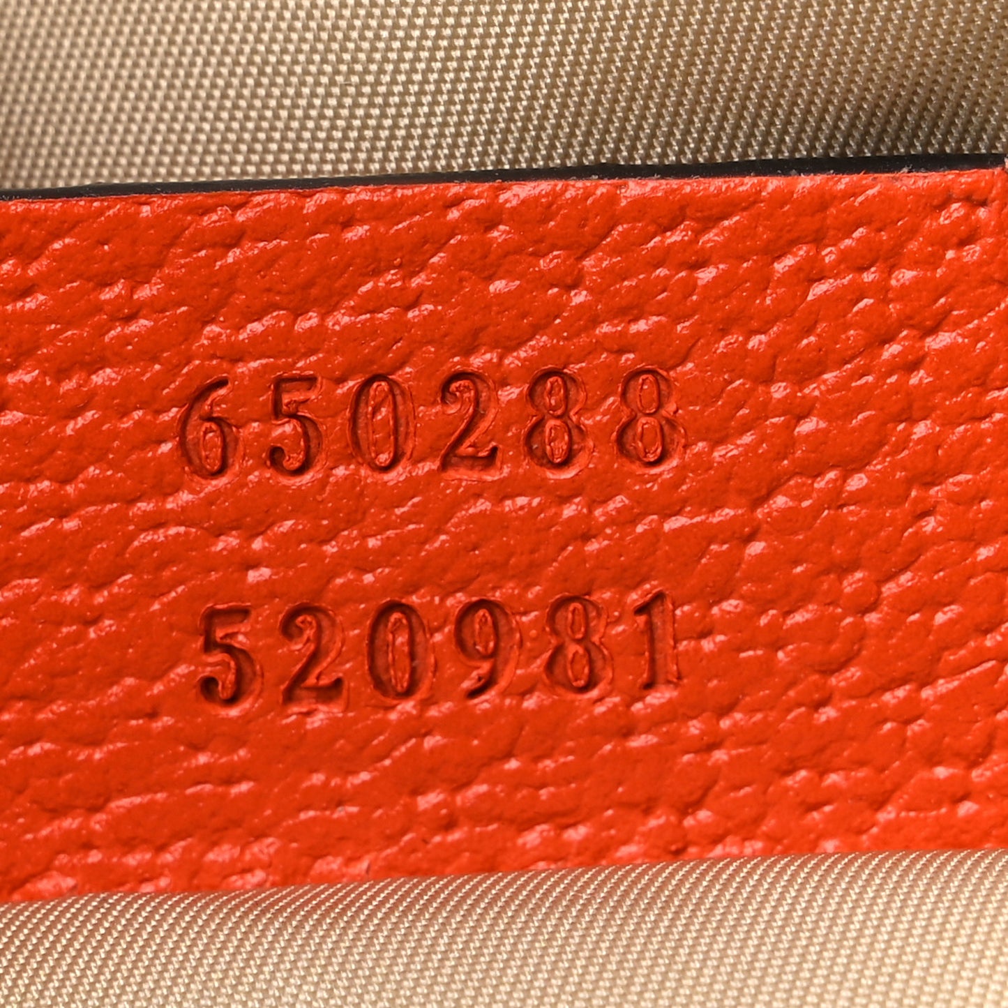 X THE NORTH FACE Monogram Textured Dollar Calfskin Embroidered Beige Ebony Mystic White Deep Orange