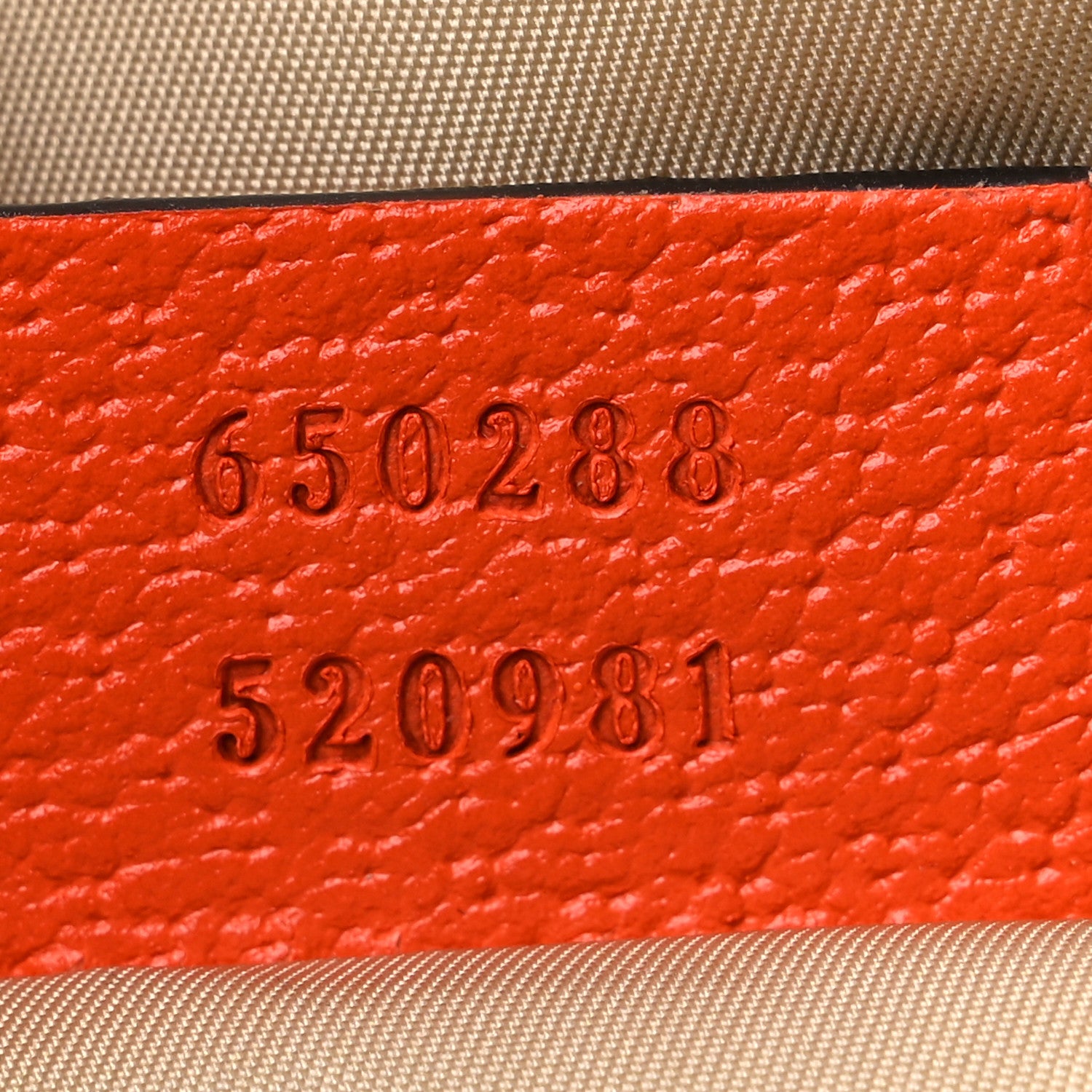 Gucci X THE NORTH FACE Monogram Textured Dollar Calfskin Embroidered Beige Ebony Mystic White Deep Orange 7 of 10