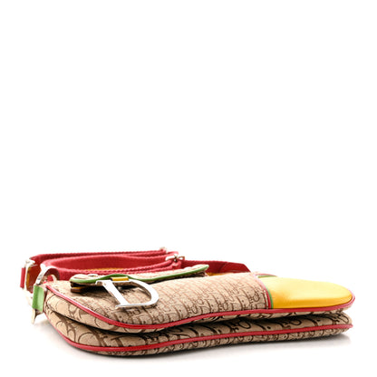 Christian Dior Monogram Rasta Double Saddle Beige Saddle Beige 4 of 11