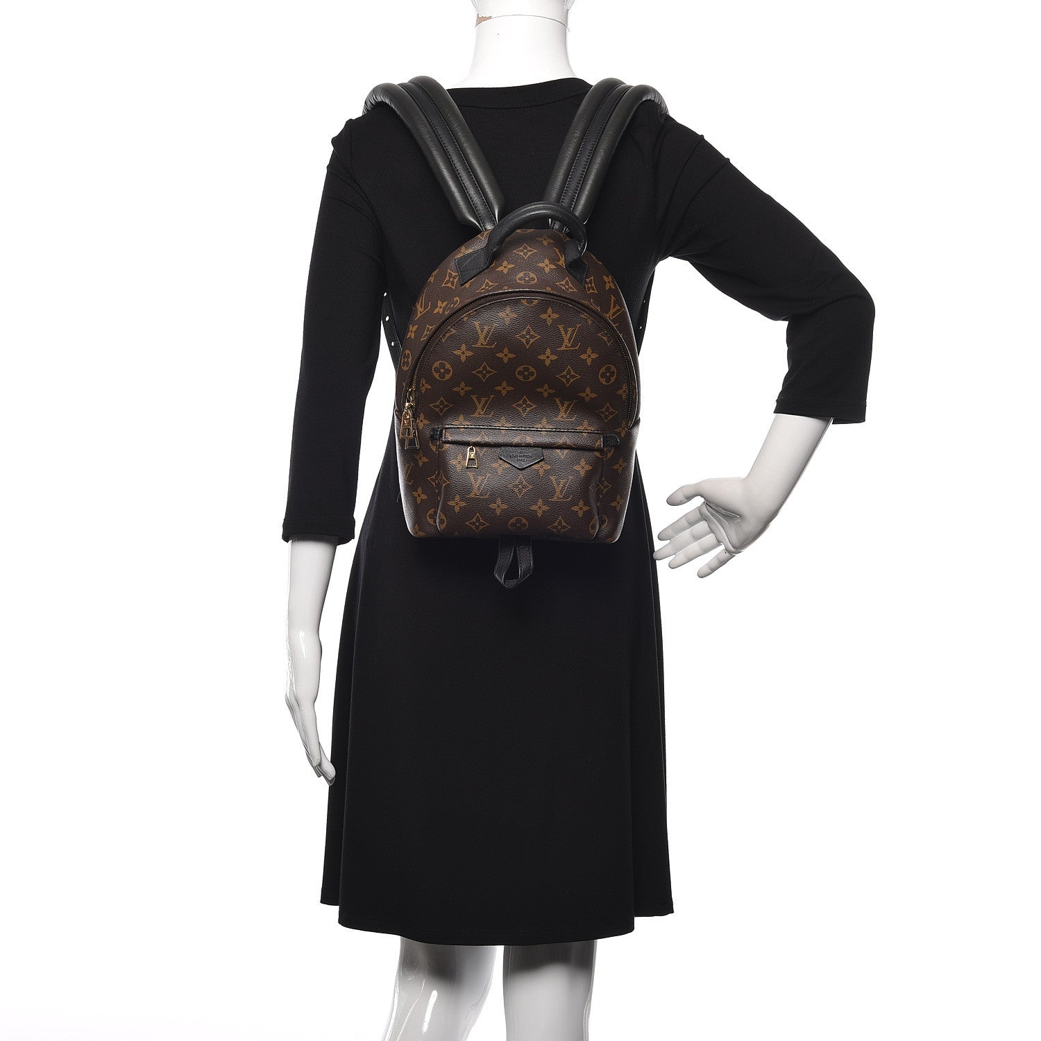 Louis Vuitton Monogram Palm Springs Backpack PM 2 of 10