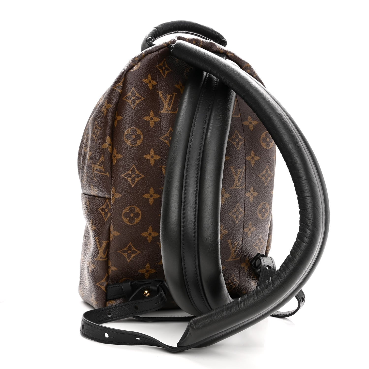 Louis Vuitton Monogram Palm Springs Backpack PM 3 of 10