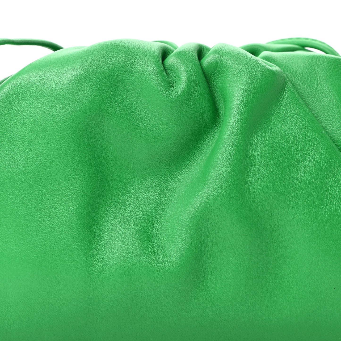 Butter Calfskin The Mini Pouch Parakeet
