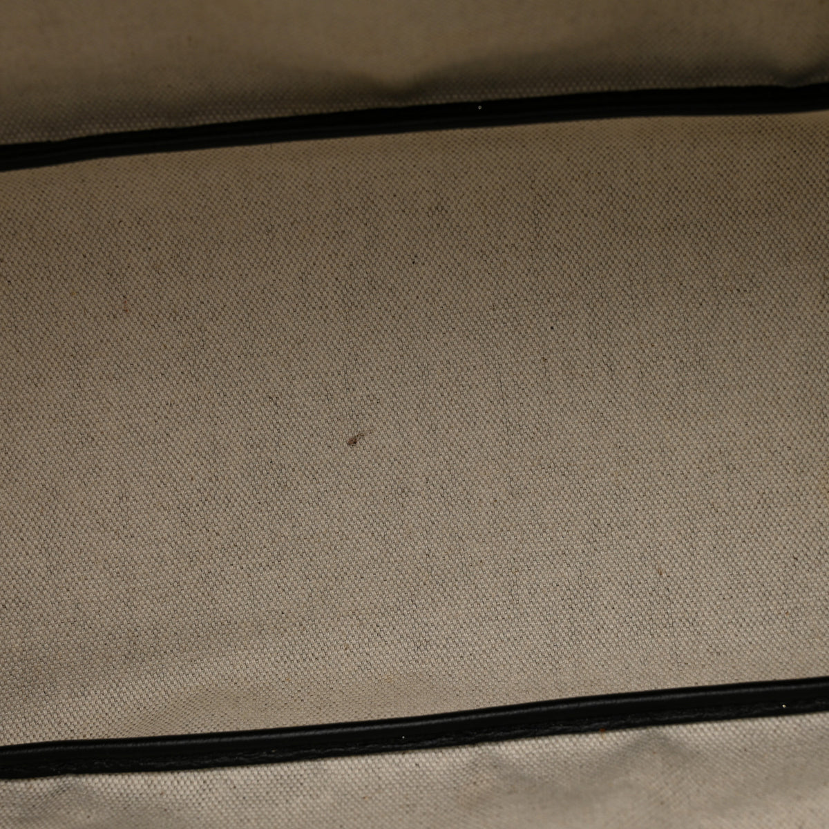 Goyard Goyardine Saint Louis PM Black 13 of 15