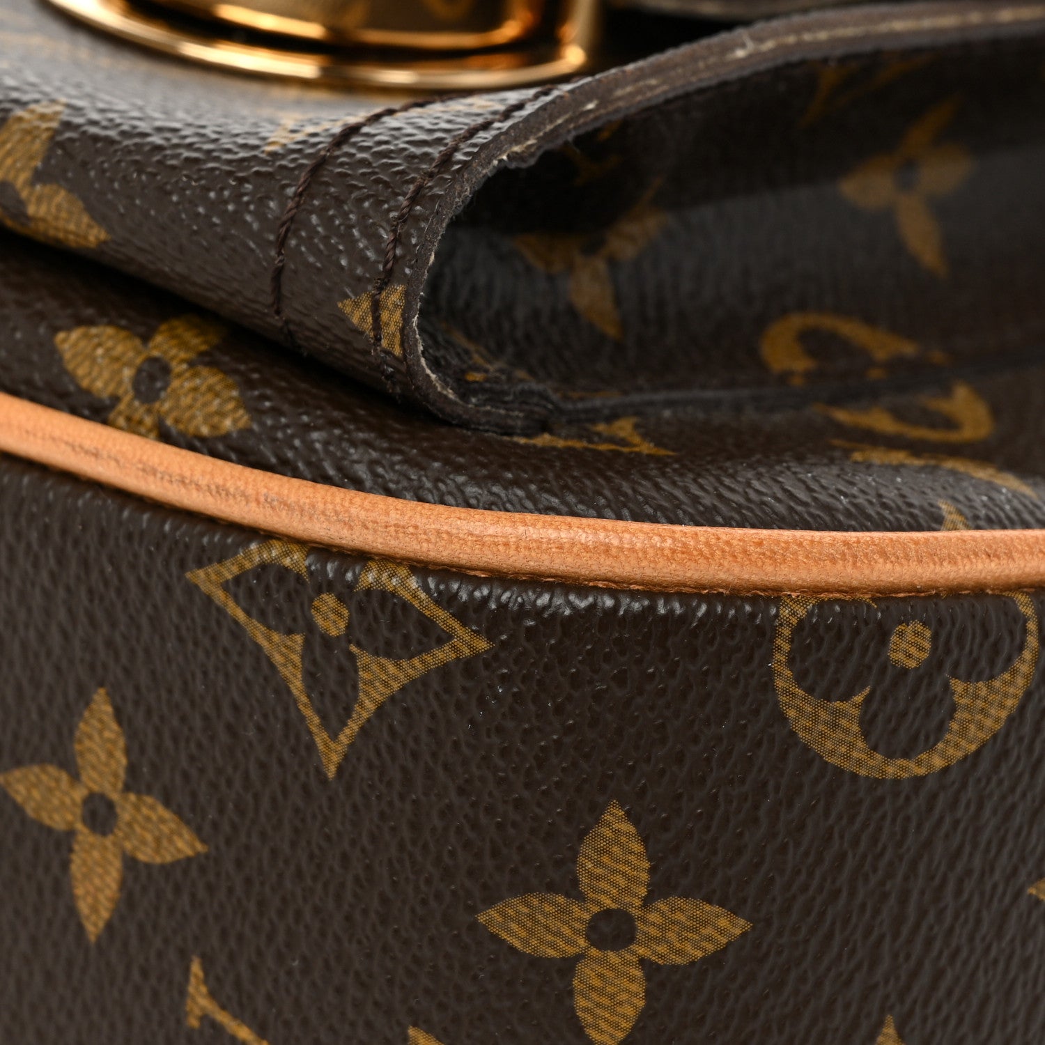 Louis Vuitton Monogram Hudson GM 10 of 15