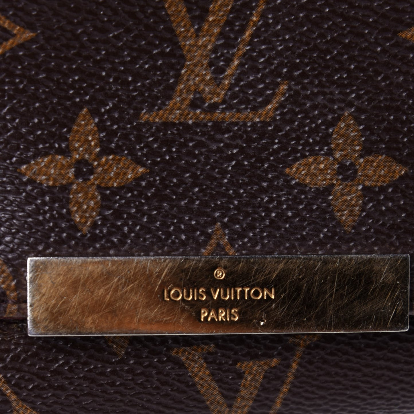 Monogram Favorite PM