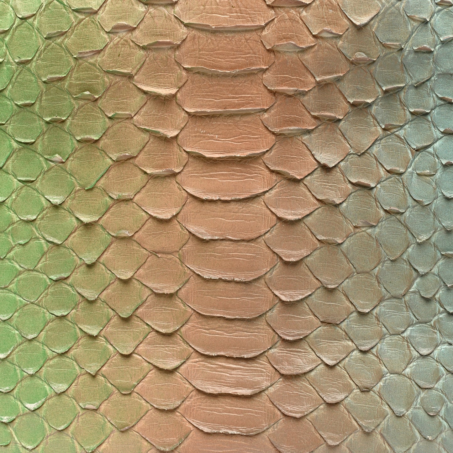 Snakeskin Medium Gabrielle Hobo Multicolor
