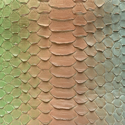 Chanel Snakeskin Medium Gabrielle Hobo Multicolor 10 of 10