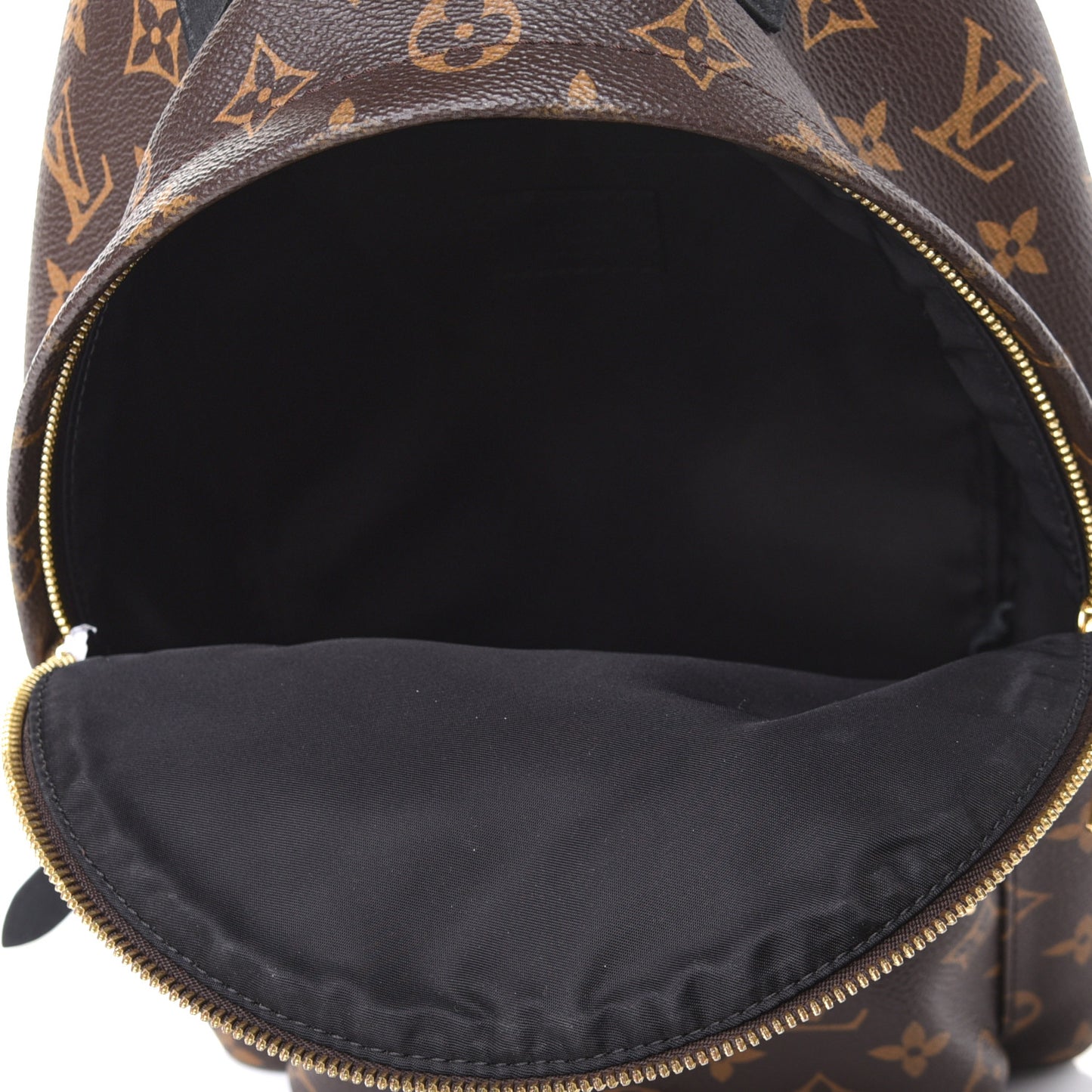 Monogram Palm Springs Backpack PM