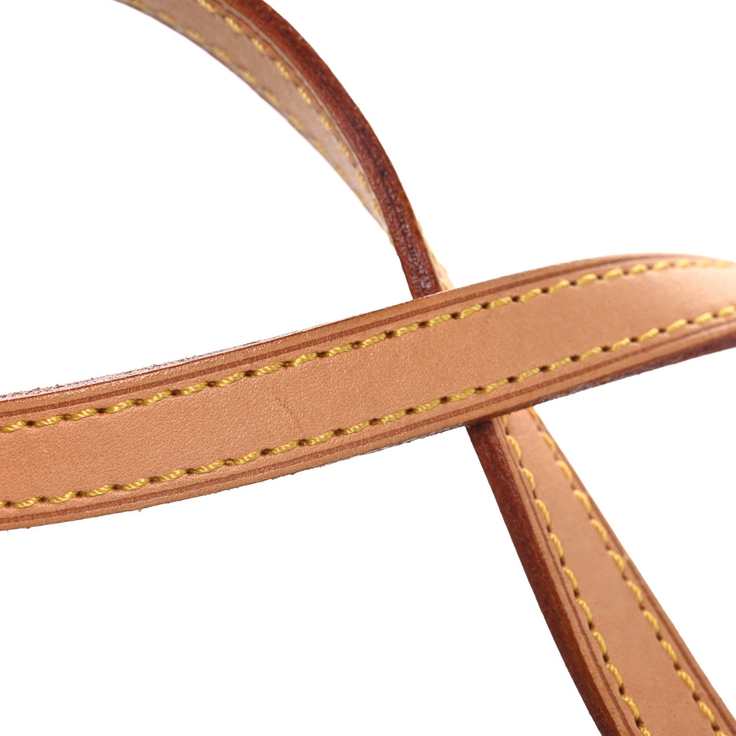 Monogram Papillon 30 with Companion