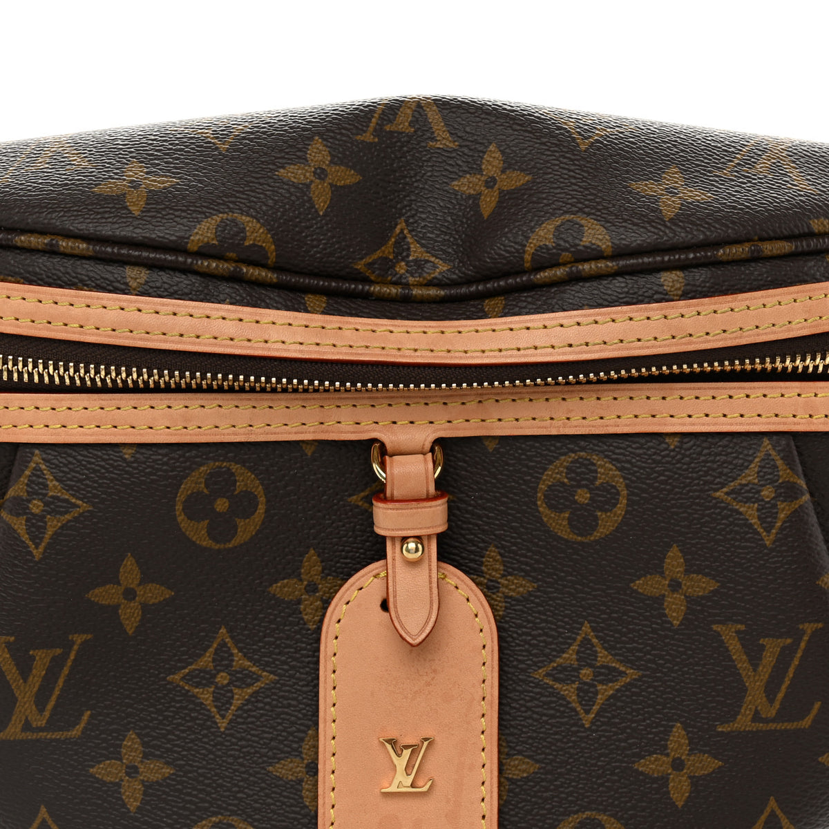 Monogram High Rise Bumbag