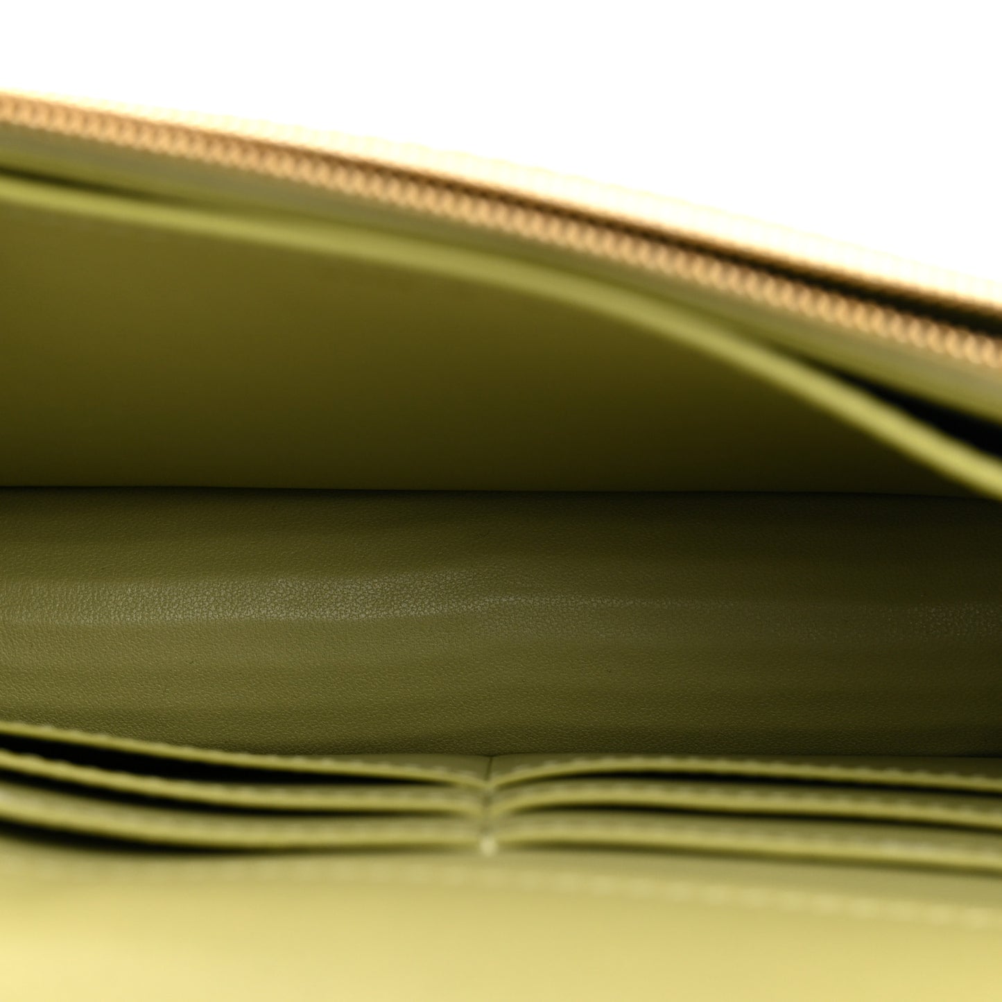 Lizard Embossed Wallet on Chain WOC Light Green