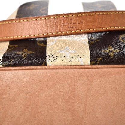 Louis Vuitton Monogram Rayures Petit Noe 9 of 17