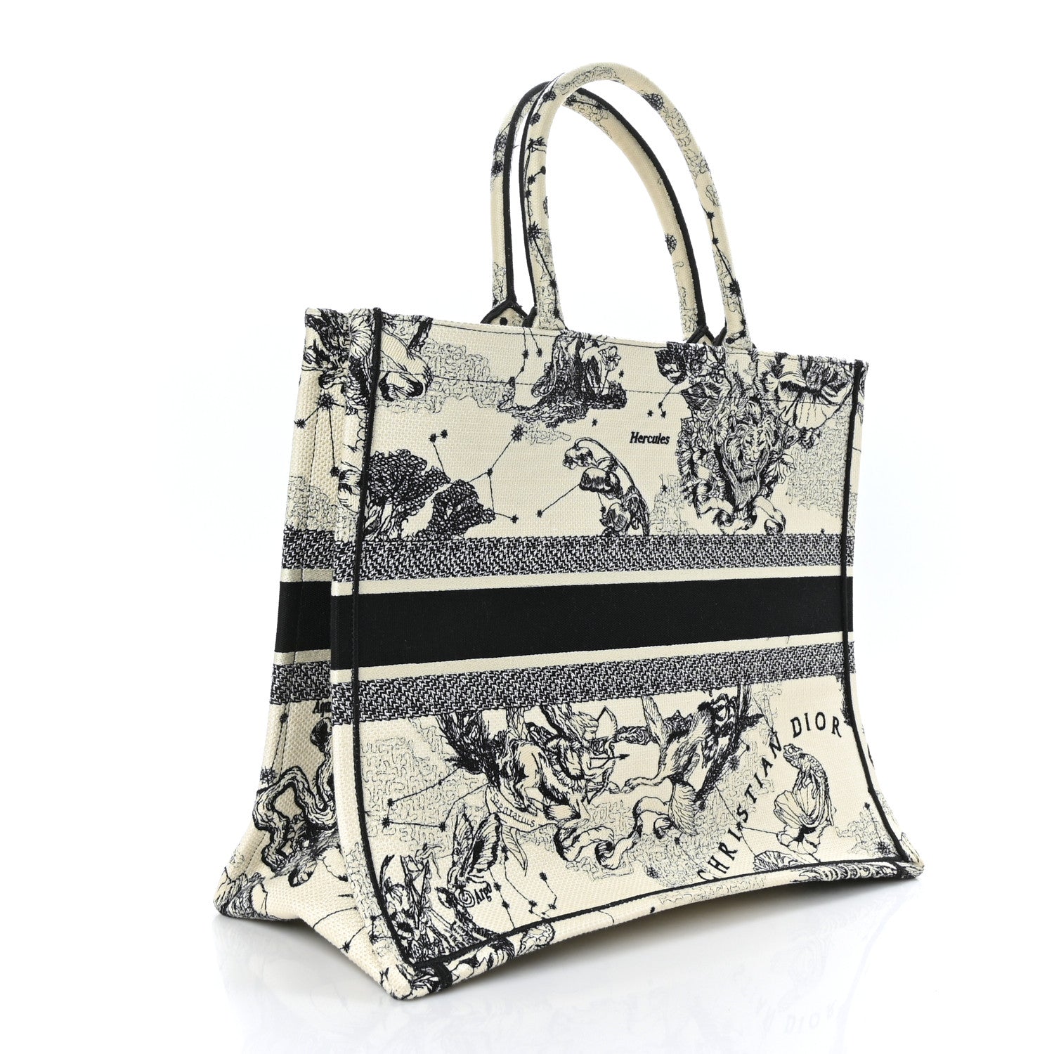 Christian Dior Canvas Embroidered Large Toile De Jouy Book Tote Latte 2 of 9