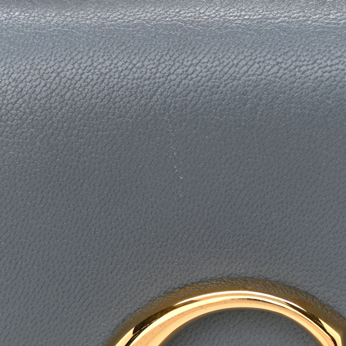 Shiny Calfskin Mini C Double Carry Blue Beige