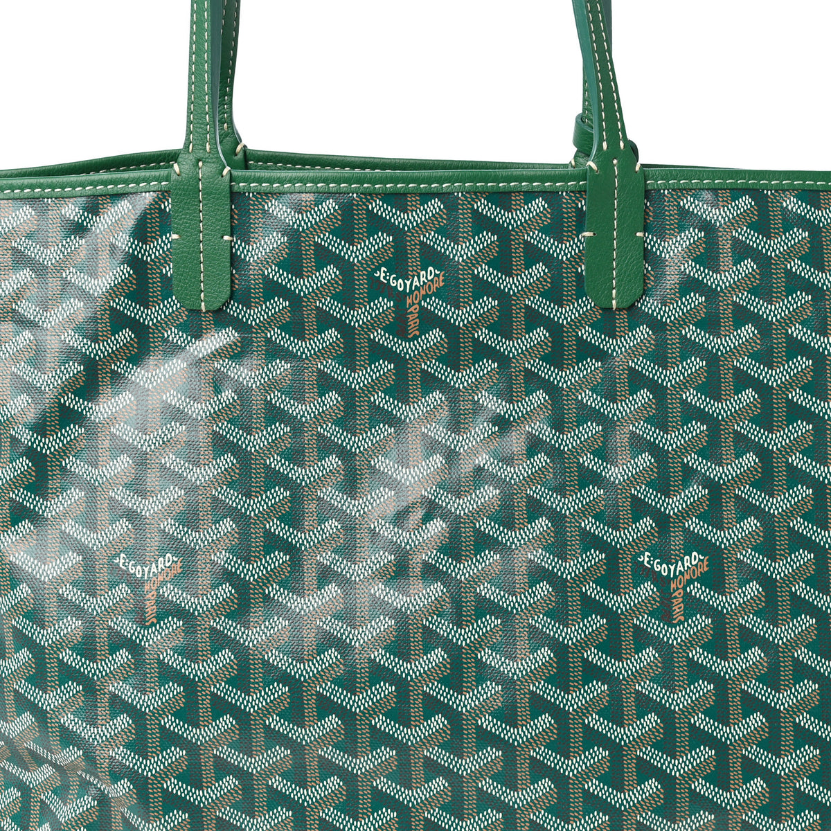 Goyard Goyardine Saint Louis PM Green 9 of 11
