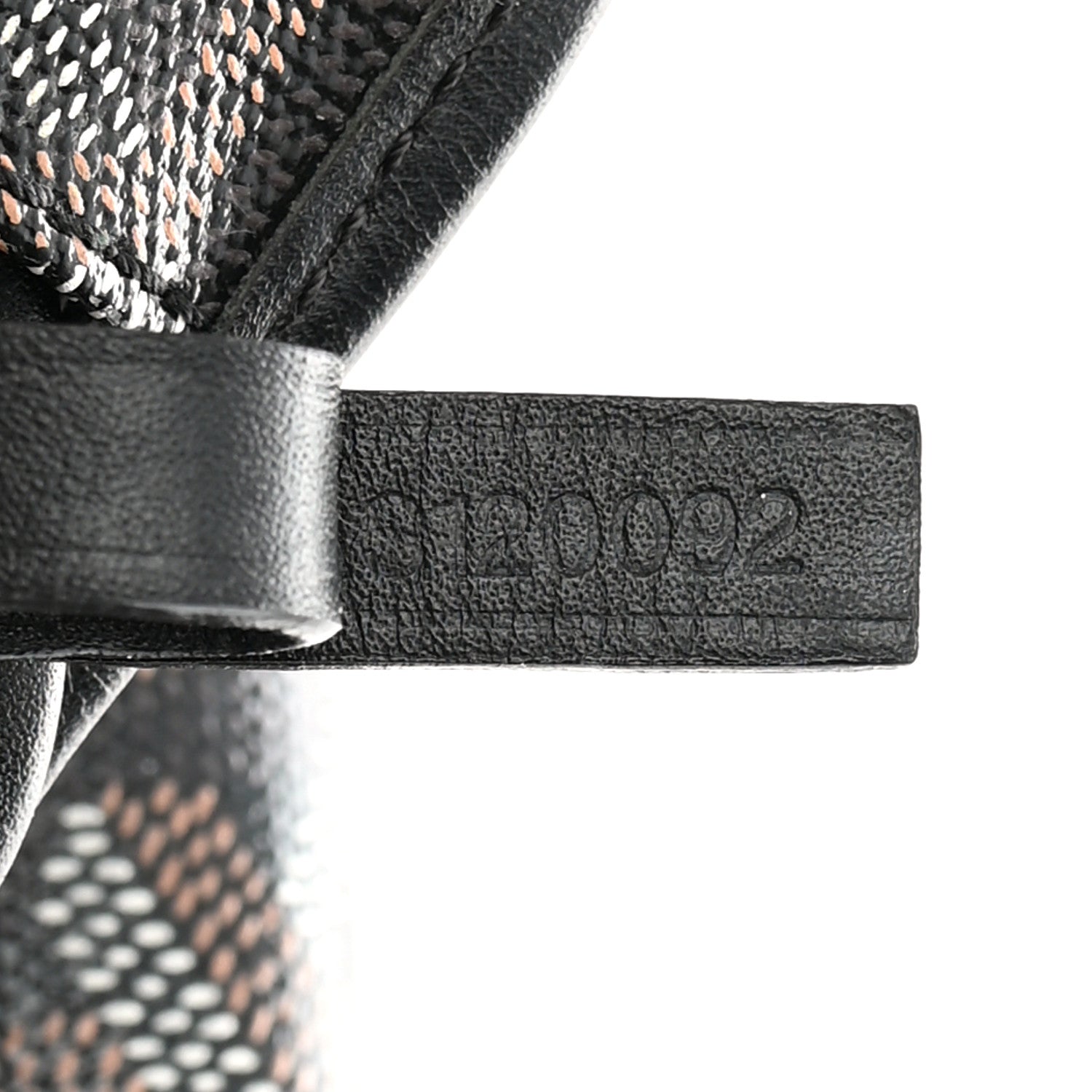 Goyard Goyardine Saint Louis PM Black 8 of 15