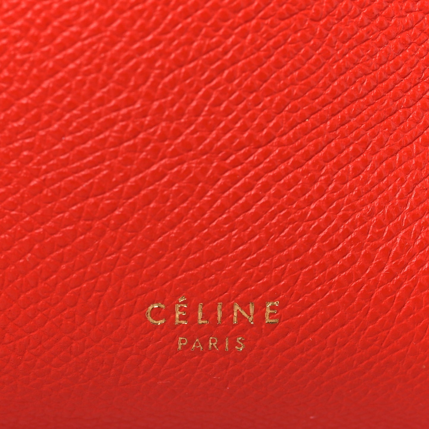 Grained Calfskin Nano Belt Bag Carnelian