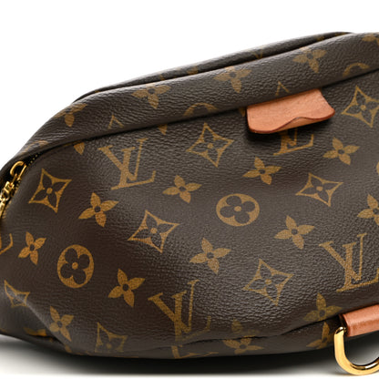 Louis Vuitton Monogram Bumbag 8 of 9