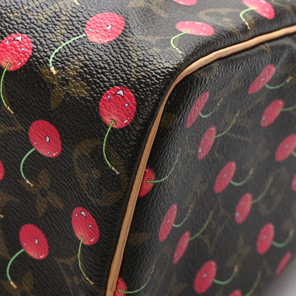 Louis Vuitton Monogram Cerises Speedy 25 10 of 10