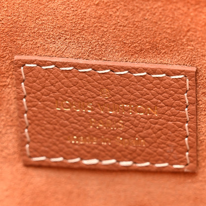 Louis Vuitton Grained Calfskin Low Key Hobo MM Cognac 7 of 14