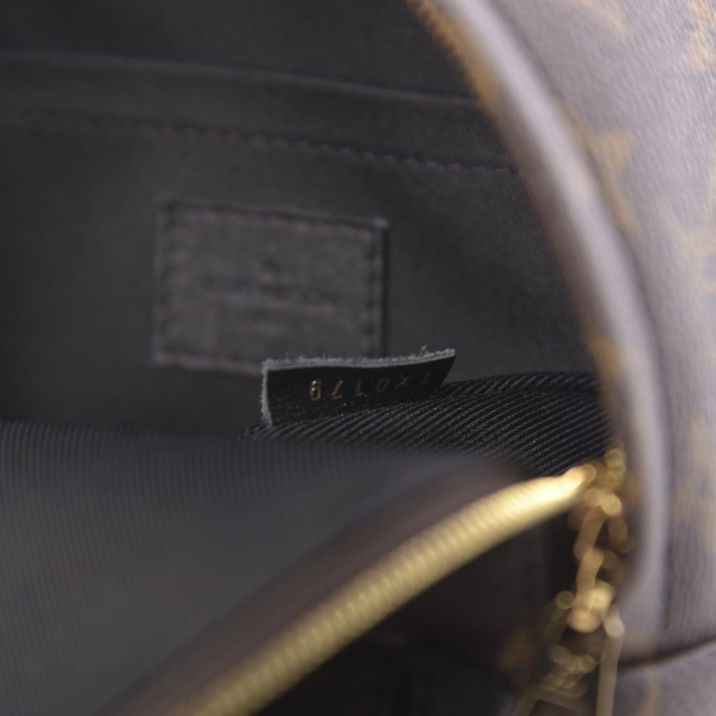 Monogram Palm Springs Backpack Mini