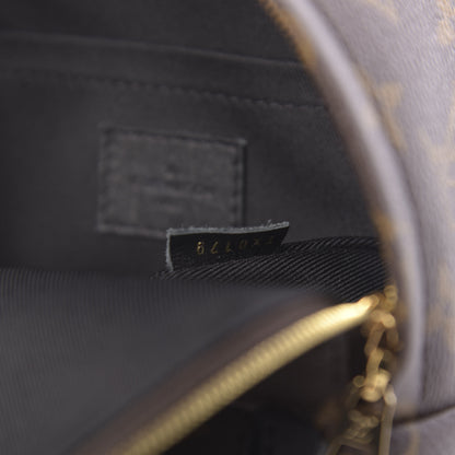 Louis Vuitton Monogram Palm Springs Backpack Mini 2 of 11