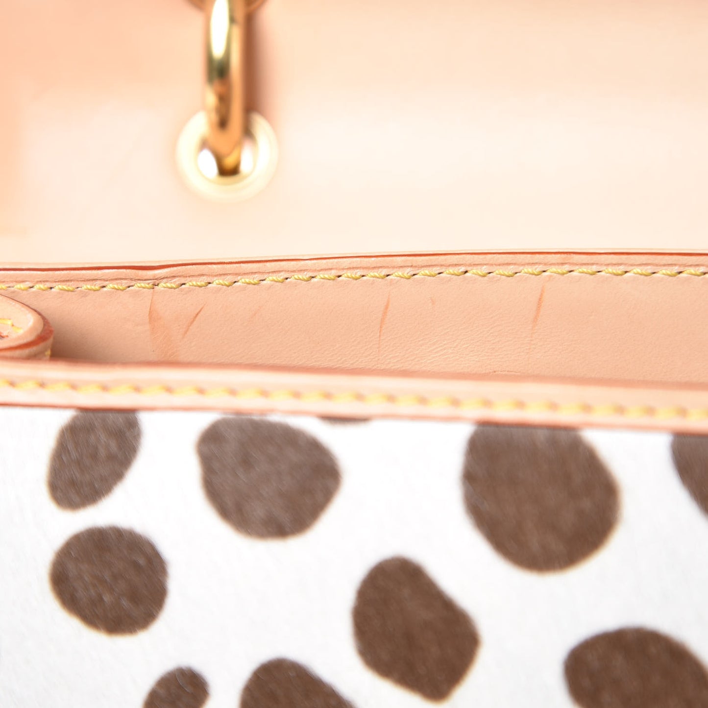 Monogram Multicolor Dalmatian Sac Rabat