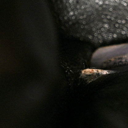 Chanel Suede Quilted Tote Tote Brown 8 of 11