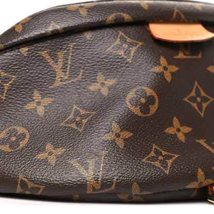 Louis Vuitton Monogram Bumbag 8 of 11