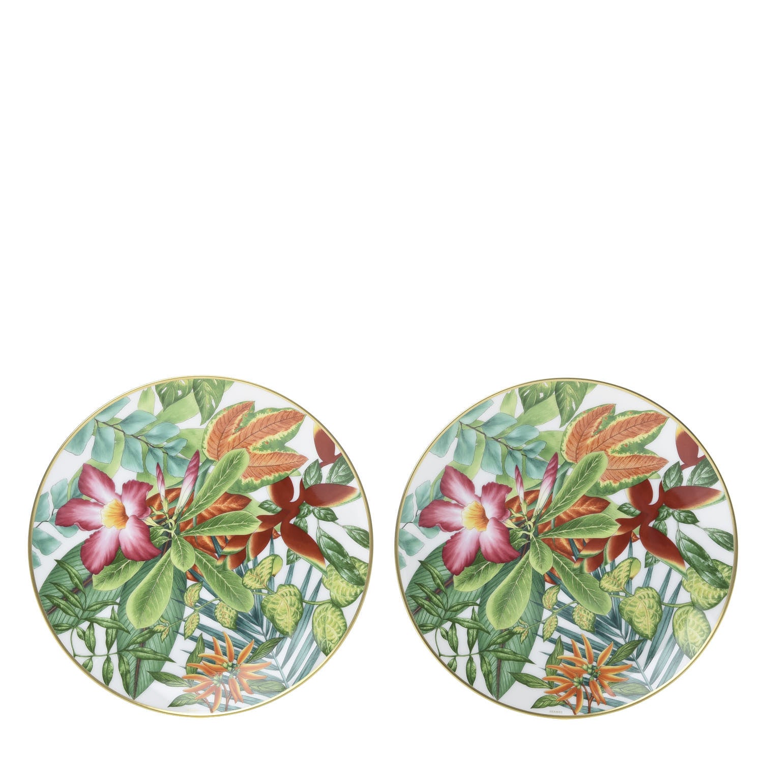 Hermes Porcelain Passifolia Dessert Plate N°1 Set of 2 1 of 6
