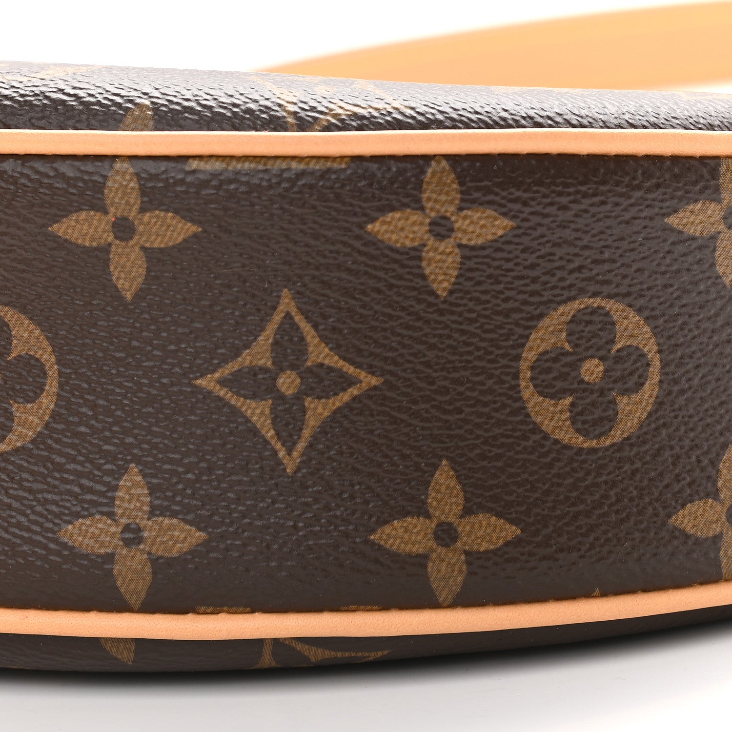 Louis Vuitton Monogram Loop 8 of 8