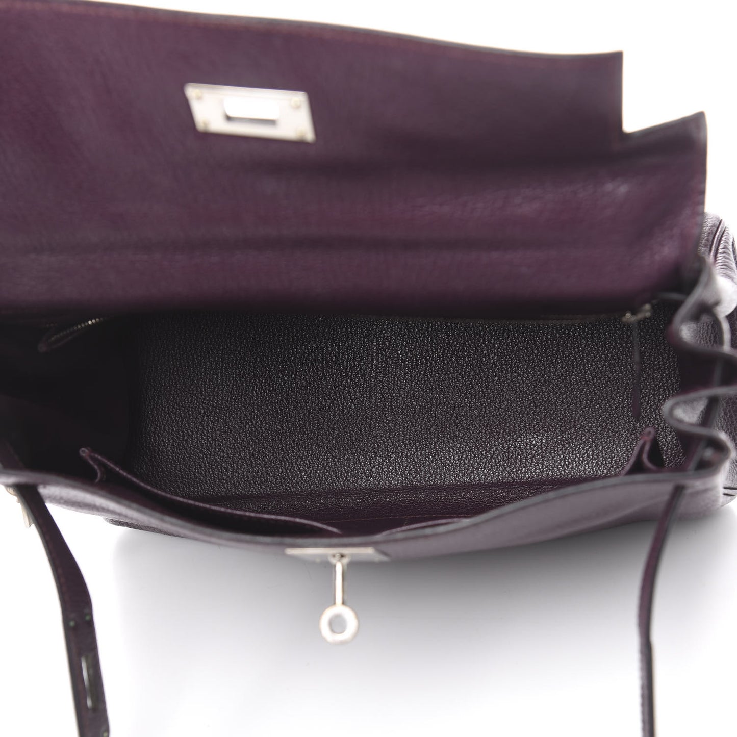 Chevre Mysore Kelly Retourne 28 Raisin