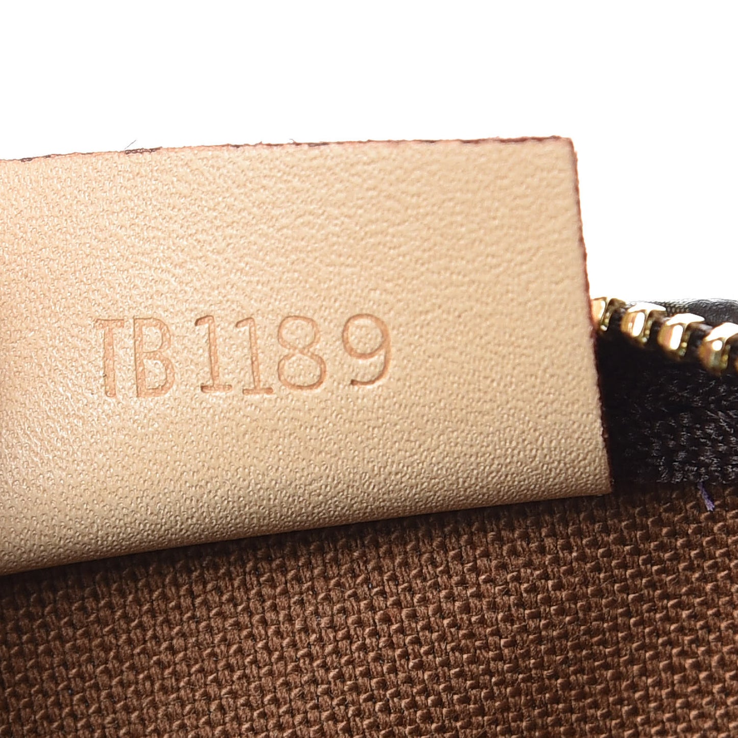 Monogram Nano Speedy