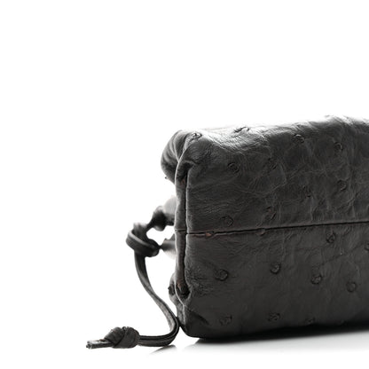 Bottega Veneta Ostrich The Mini Pouch Fondente 9 of 10